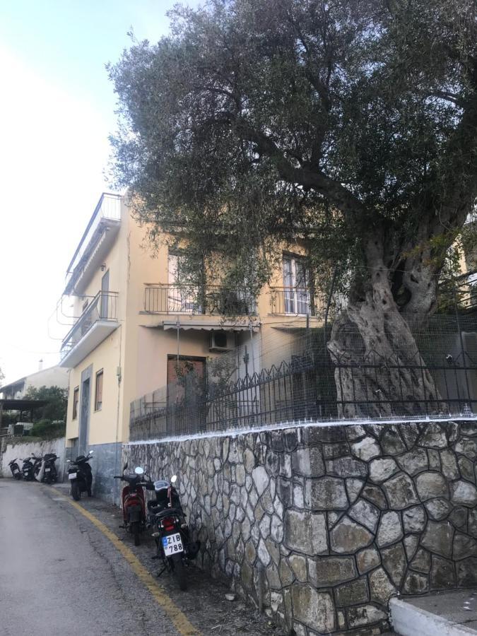 Anatoli House *